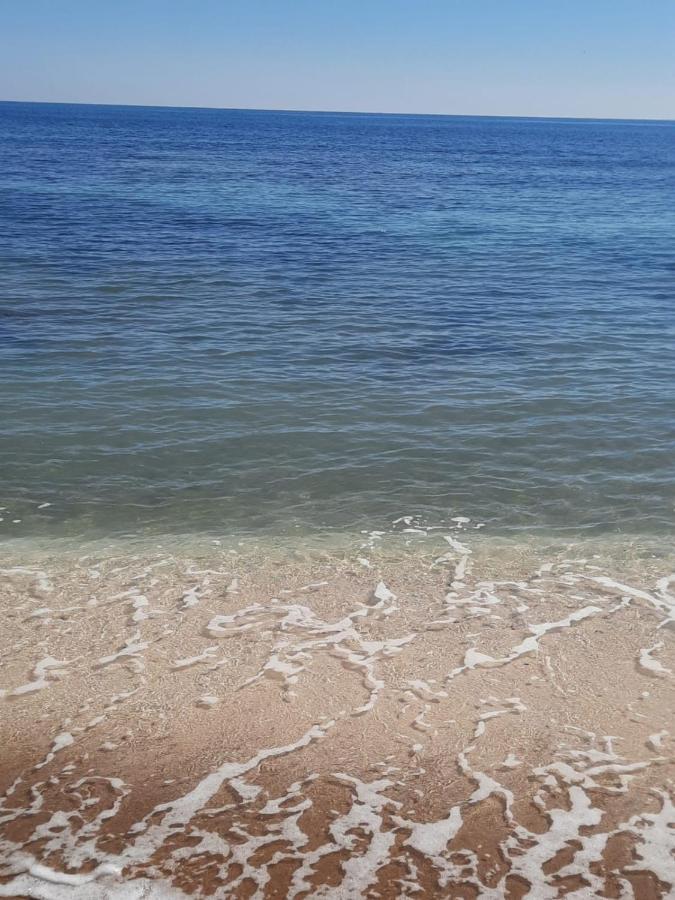 Студия На Белоснежном Пляже Los Locos Torrevieja Dış mekan fotoğraf